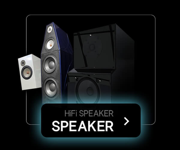 D'Audio, Art of Music